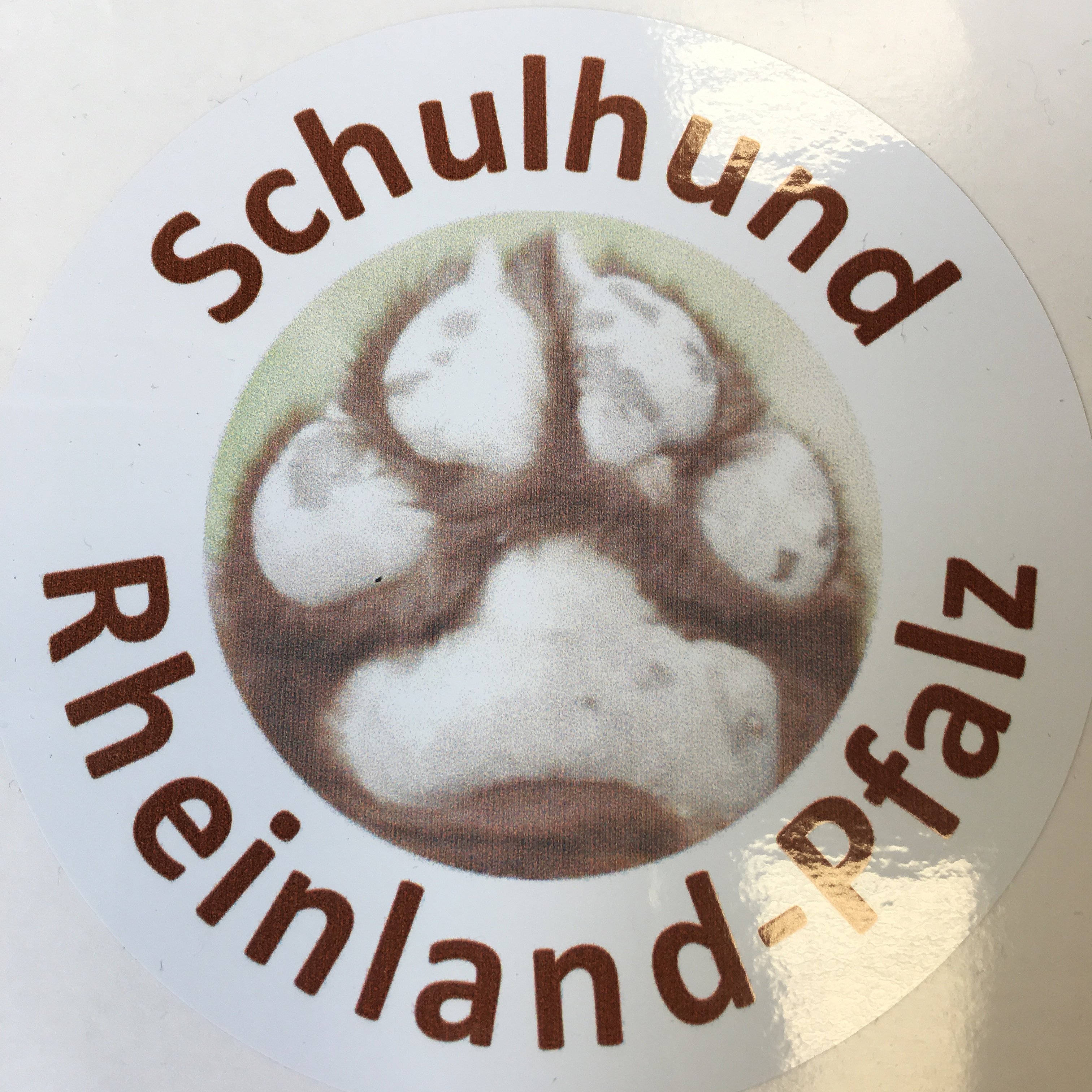 Bild der Schiller-Schule Höhr-Grenzhausen Bild der Schiller-Schule Höhr-Grenzhausen