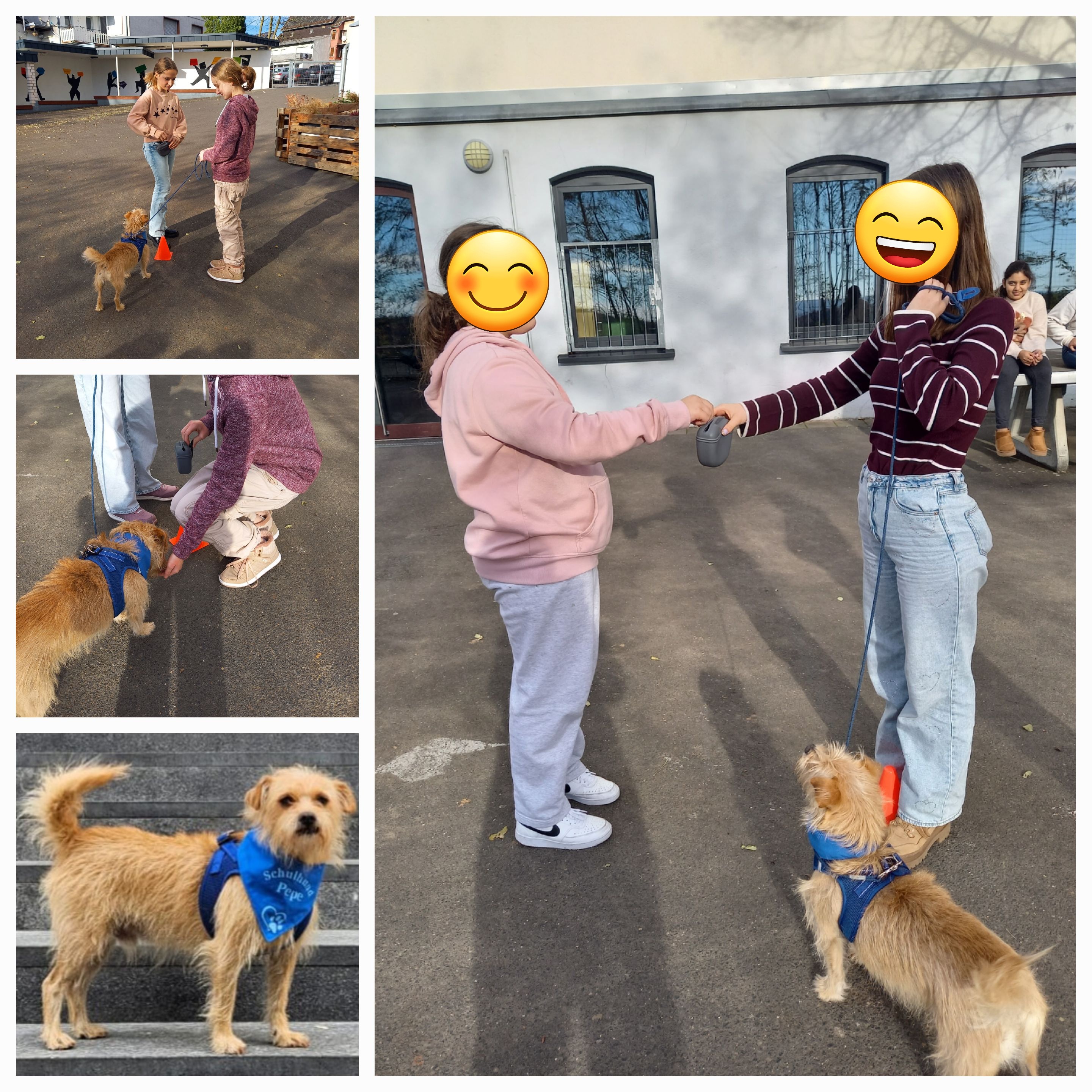 Bild der Schiller-Schule Höhr-Grenzhausen Bild der Schiller-Schule Höhr-Grenzhausen