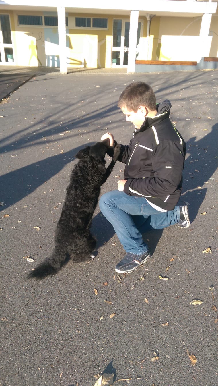 Bild der Schiller-Schule Höhr-Grenzhausen Bild der Schiller-Schule Höhr-Grenzhausen