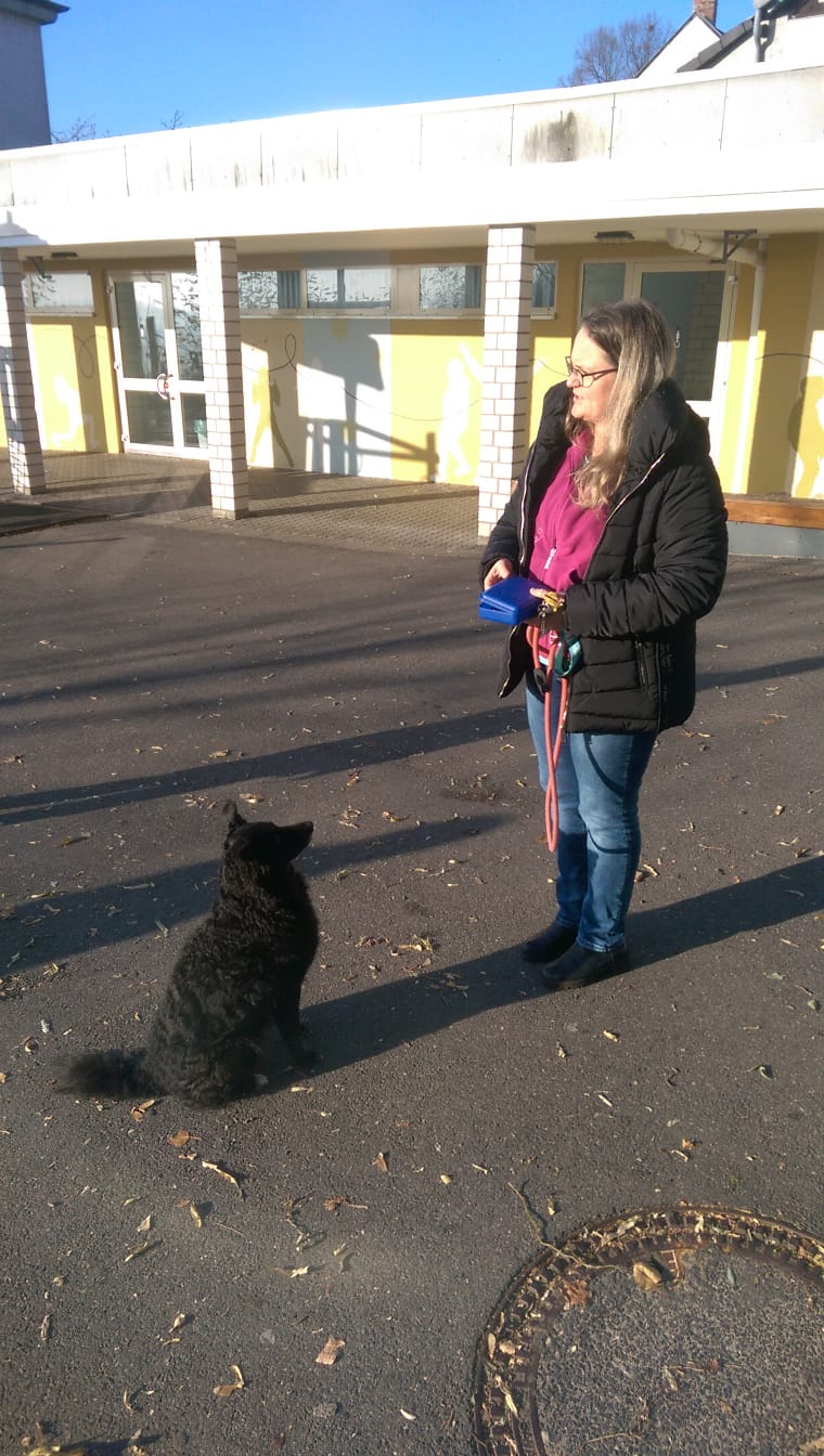 Bild der Schiller-Schule Höhr-Grenzhausen Bild der Schiller-Schule Höhr-Grenzhausen