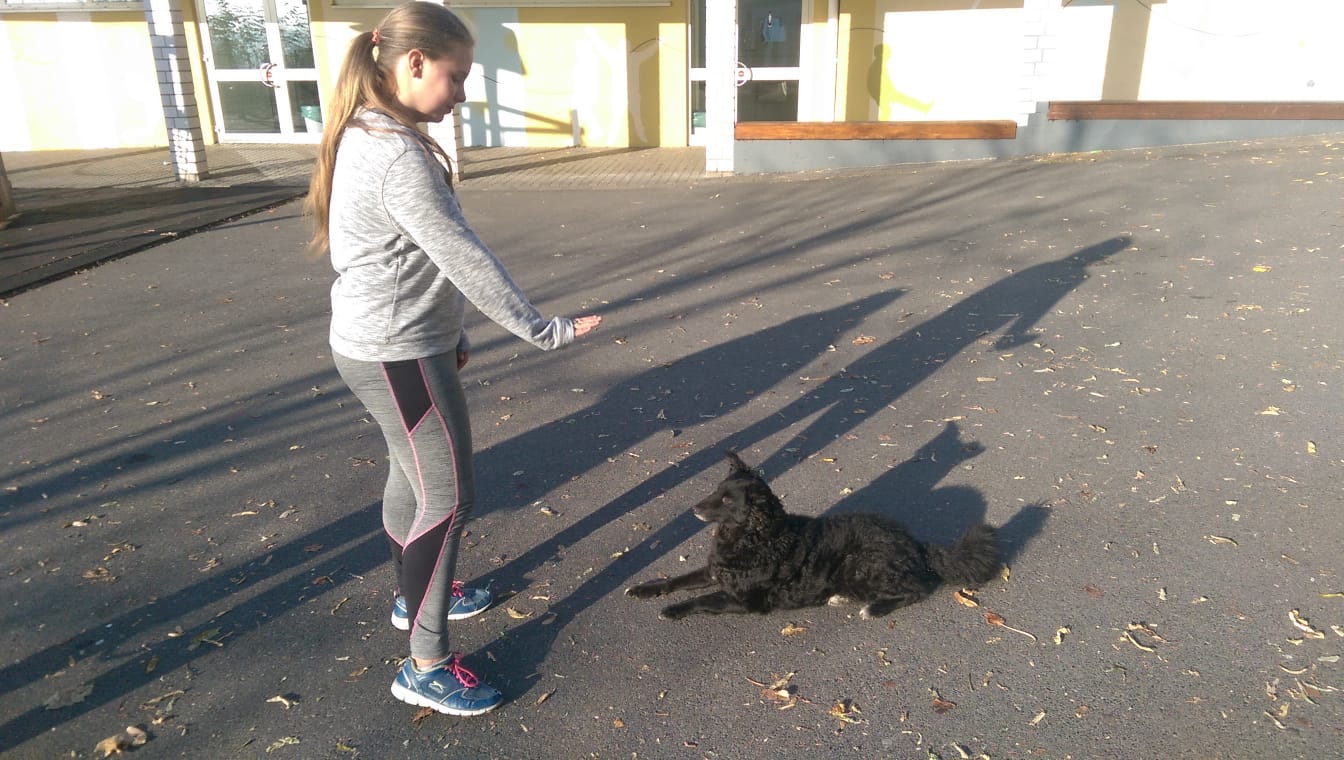 Bild der Schiller-Schule Höhr-Grenzhausen Bild der Schiller-Schule Höhr-Grenzhausen