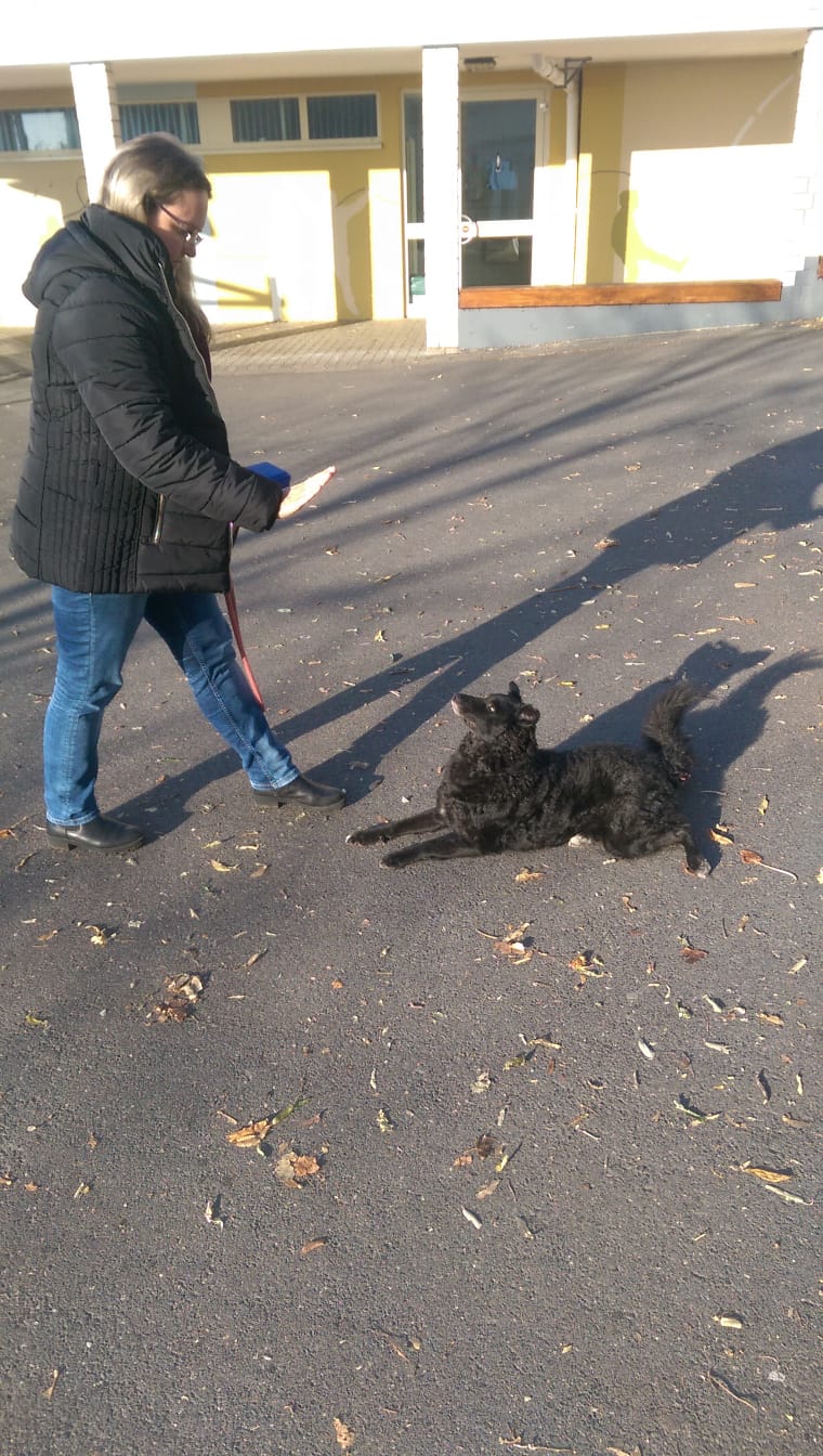 Bild der Schiller-Schule Höhr-Grenzhausen Bild der Schiller-Schule Höhr-Grenzhausen