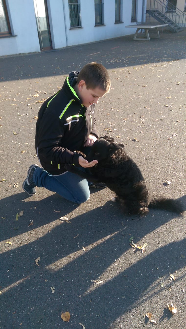 Bild der Schiller-Schule Höhr-Grenzhausen Bild der Schiller-Schule Höhr-Grenzhausen