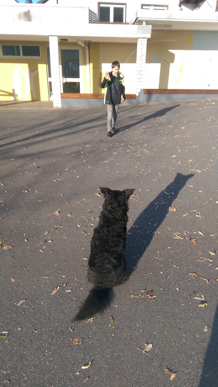 Bild der Schiller-Schule Höhr-Grenzhausen Bild der Schiller-Schule Höhr-Grenzhausen