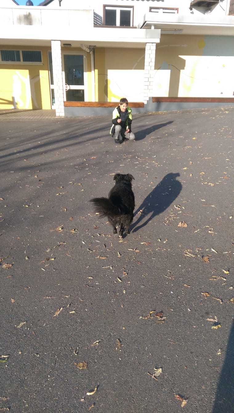Bild der Schiller-Schule Höhr-Grenzhausen Bild der Schiller-Schule Höhr-Grenzhausen