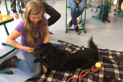 Bild der Schiller-Schule Höhr-Grenzhausen Bild der Schiller-Schule Höhr-Grenzhausen